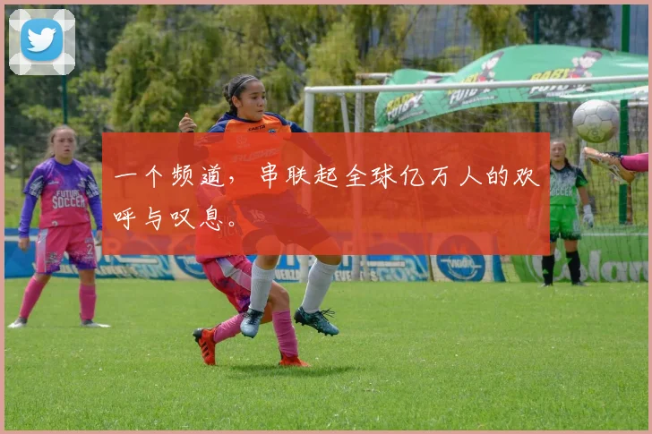 一个频道,串联起全球亿万人的欢呼与叹息。