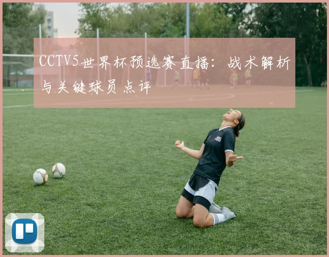 CCTV5世界杯预选赛直播：战术解析与关键球员点评