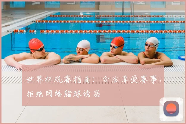 世界杯观赛指南:合法享受赛事,拒绝网络赌球诱惑